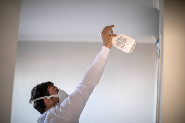 Best Mold Testing and Inspection Services in Universal City, TX