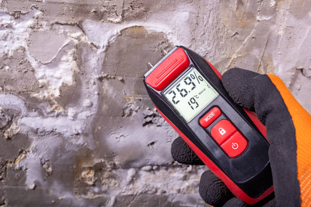 Best Industrial Mold Remediation in Universal City, TX